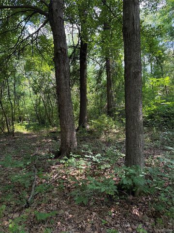 00 Ripple Way, White Lake Charter Township, MI 48383