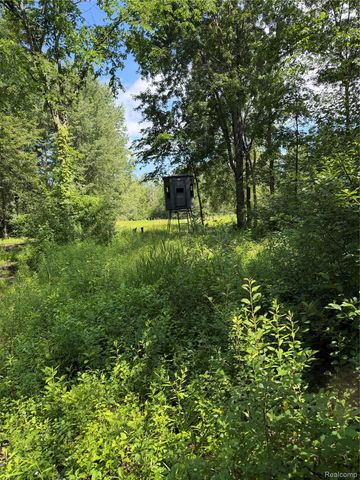 00 Ripple Way, White Lake Charter Township, MI 48383
