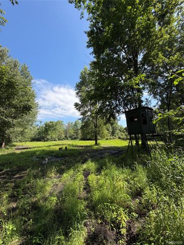00 Ripple Way, White Lake Charter Township, MI 48383
