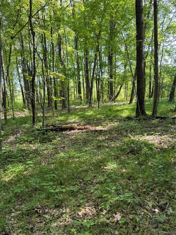 00 Ripple Way, White Lake Charter Township, MI 48383