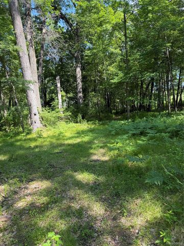 00 Ripple Way, White Lake Charter Township, MI 48383
