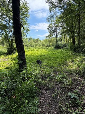00 Ripple Way, White Lake Charter Township, MI 48383