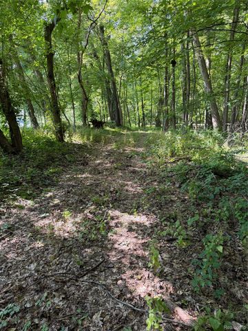 00 Ripple Way, White Lake Charter Township, MI 48383