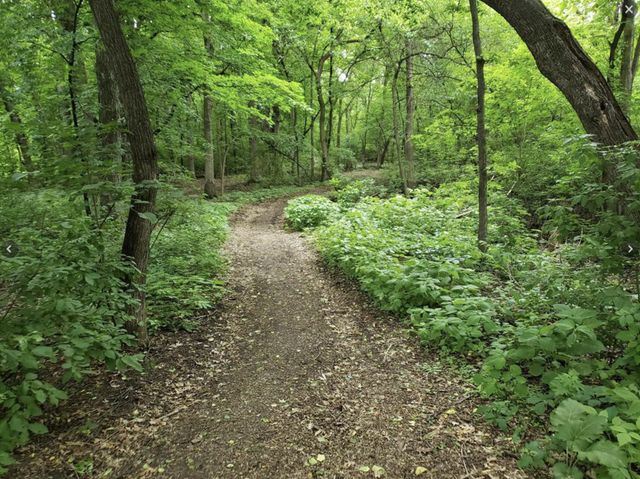 3563 Pilgrim Lane N, Plymouth, MN 55441