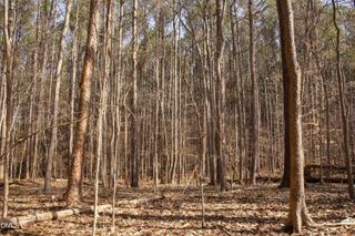 7023 Southern Trail, Chapel Hill, NC 27516