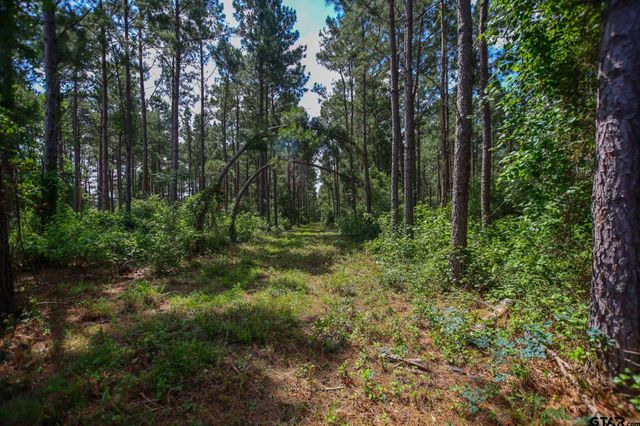 1950 Buckhorn Creek Drive, Crockett, TX 75835