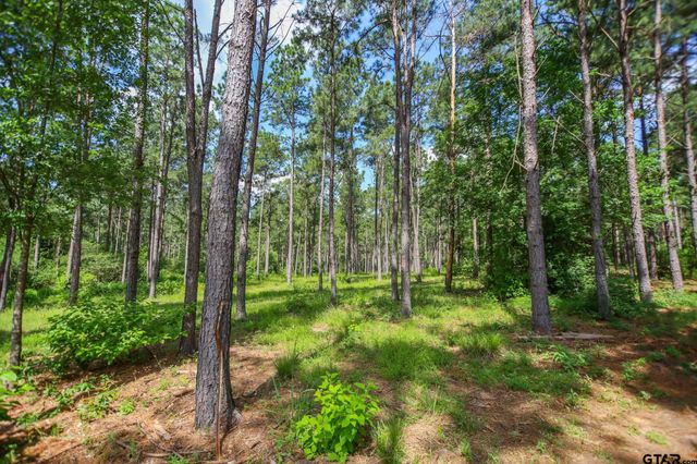 1950 Buckhorn Creek Drive, Crockett, TX 75835
