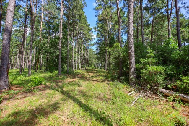 1950 Buckhorn Creek Drive, Crockett, TX 75835
