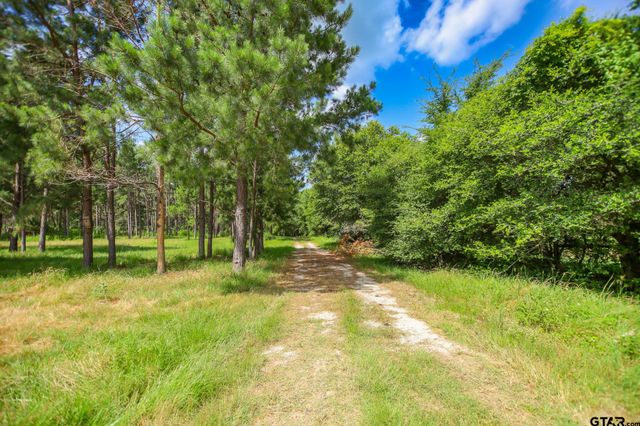 1950 Buckhorn Creek Drive, Crockett, TX 75835