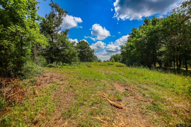 1950 Buckhorn Creek Drive, Crockett, TX 75835