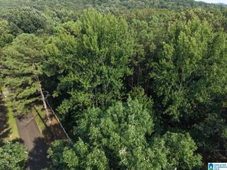 5389 OLD SHADOW LAKE ROAD, Pinson, AL 35126