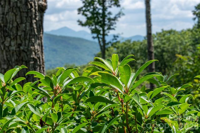 99999 E Garden Trail 46, Fletcher, NC 28732
