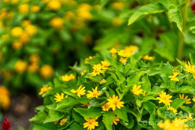 99999 E Garden Trail 46, Fletcher, NC 28732