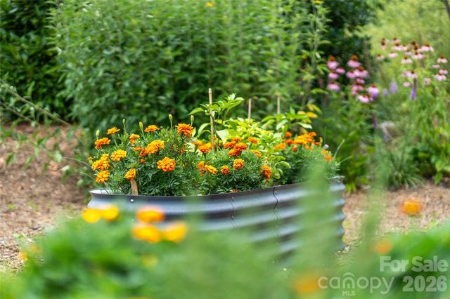 99999 E Garden Trail 46, Fletcher, NC 28732
