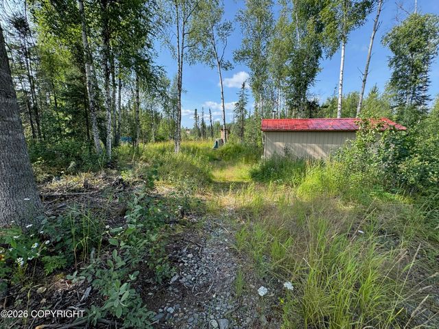 11396 W Cattail Cir, Big Lake, AK 99623