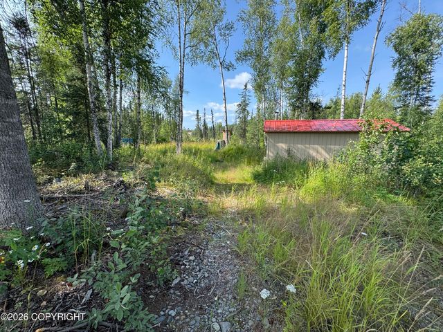 11396 W Cattail Cir, Big Lake, AK 99623