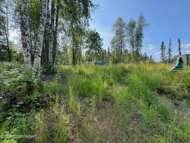 11396 W Cattail Cir, Big Lake, AK 99623