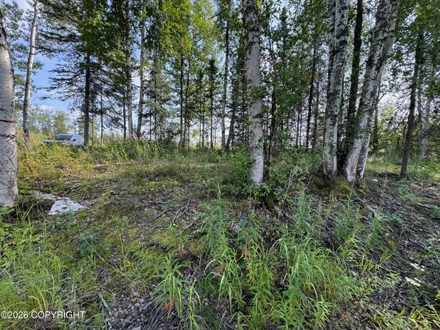 11396 W Cattail Cir, Big Lake, AK 99623