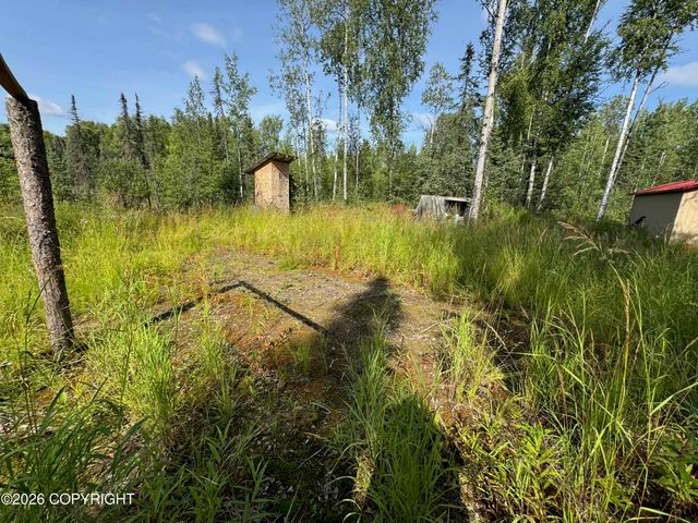 11396 W Cattail Cir, Big Lake, AK 99623