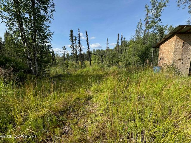 11396 W Cattail Cir, Big Lake, AK 99623
