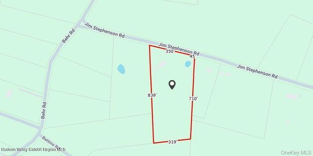 209 Jim Stephenson Road, Jeffersonville, NY 12748