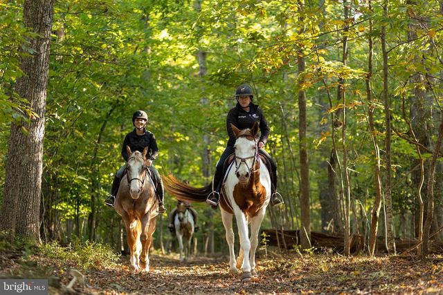 200 WILDERNESS LN, Locust Grove, VA 22508