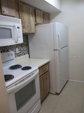 14227 SHADOW MOSS LANE 102, Tampa, FL 33613