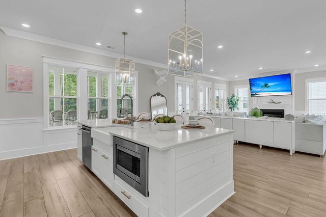 3651 Goodwater Street, Mount Pleasant, SC 29466