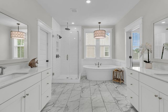 3651 Goodwater Street, Mount Pleasant, SC 29466