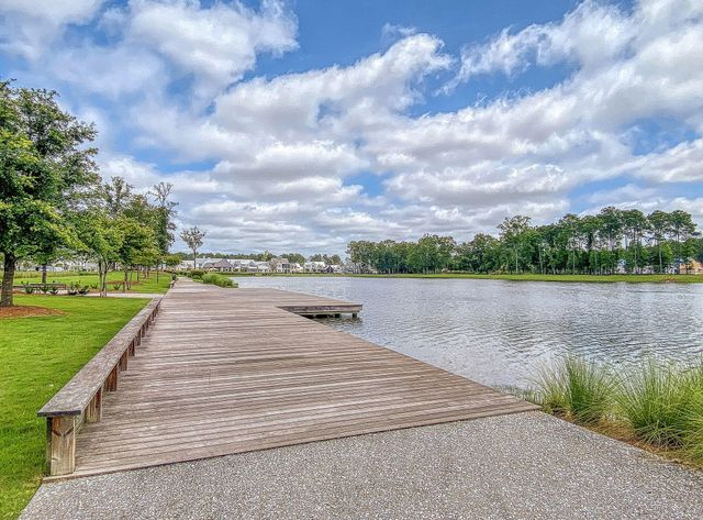 3651 Goodwater Street, Mount Pleasant, SC 29466