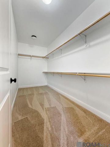 13867 Arbor Walk Dr, Denham Springs, LA 70726