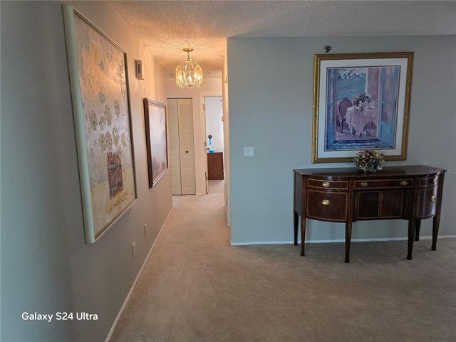 8186 TERRACE GARDEN DRIVE N 409, St Petersburg, FL 33709