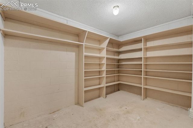 832 Spring Valley Drive, Divide, CO 80814