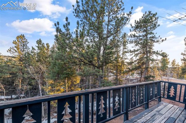 832 Spring Valley Drive, Divide, CO 80814