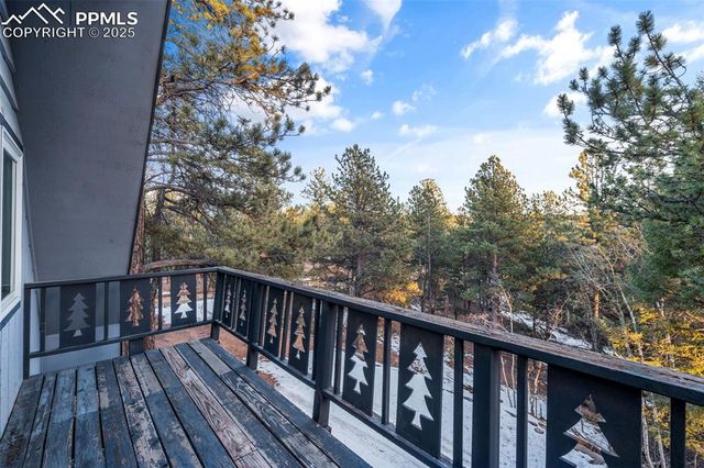 832 Spring Valley Drive, Divide, CO 80814