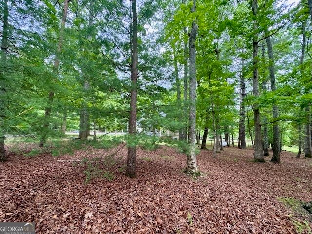 28 Rothgeb Ridge Road, Blairsville, GA 30512