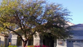 24744 W Illini Street, Buckeye, AZ 85326