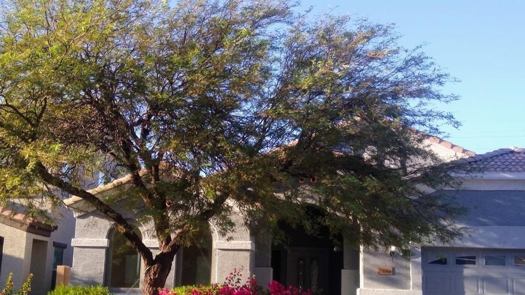 24744 W Illini Street, Buckeye, AZ 85326