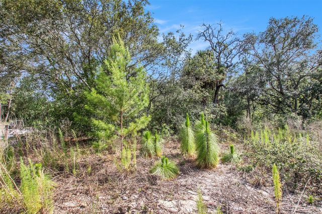 0 SHADY HILLS, Spring Hill, FL 34610