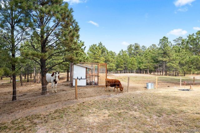 17521 Abert Ridge View, Colorado Springs, CO 80908