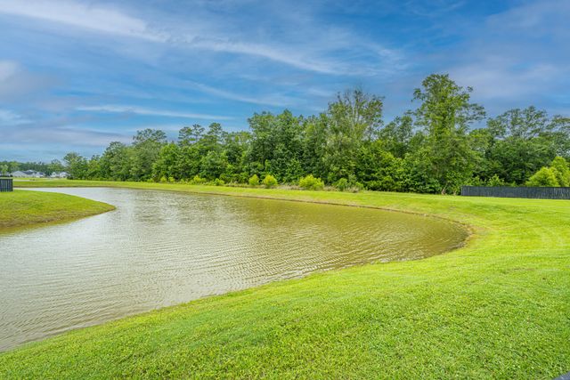 134 Darby Meadow Lane, Ridgeville, SC 29472