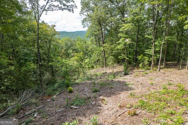LOT 314 Pebble Trace 314, Talking Rock, GA 30175
