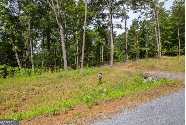 LOT 314 Pebble Trace 314, Talking Rock, GA 30175