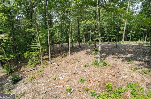 LOT 314 Pebble Trace 314, Talking Rock, GA 30175