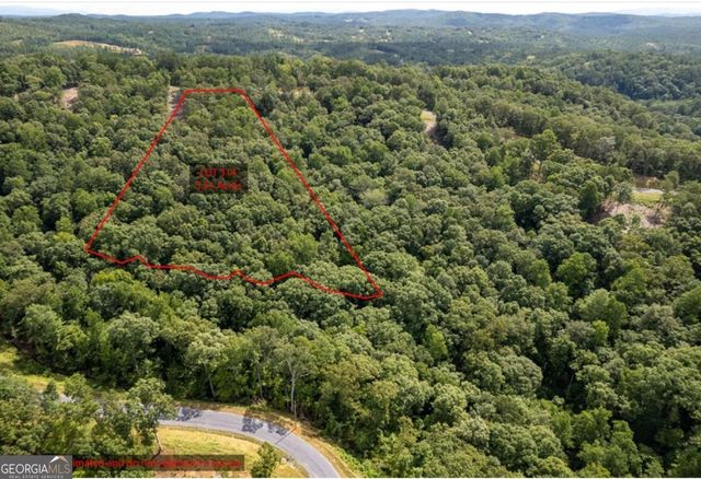 LOT 314 Pebble Trace 314, Talking Rock, GA 30175
