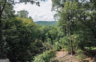 LOT 314 Pebble Trace 314, Talking Rock, GA 30175