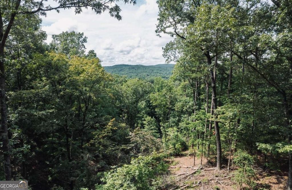 LOT 314 Pebble Trace 314, Talking Rock, GA 30175