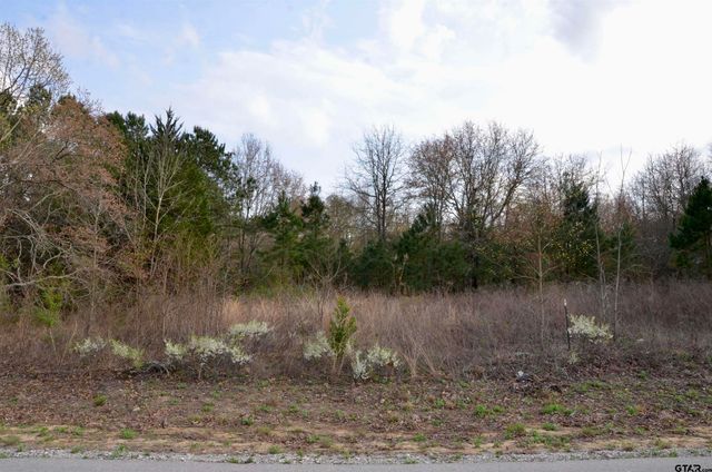 113 Private Road 6238, Mineola, TX 75773