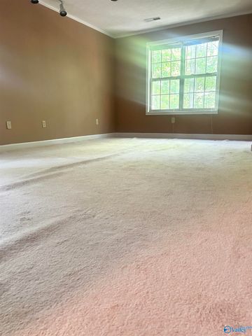 11576 Little Coffman Road, Lester, AL 35647
