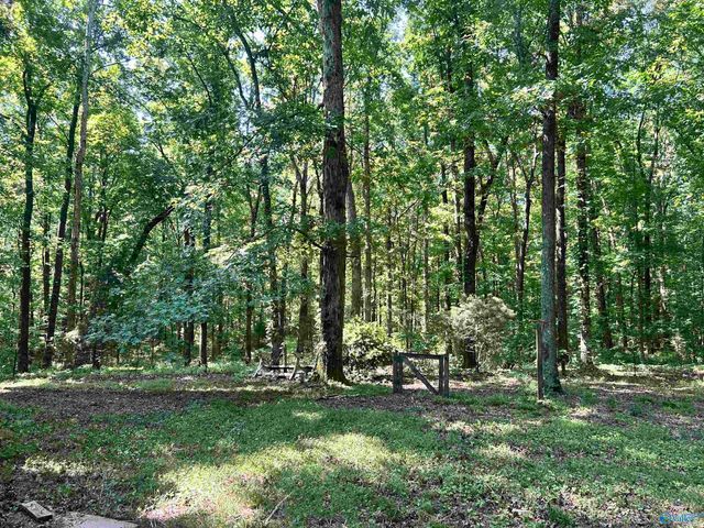 11576 Little Coffman Road, Lester, AL 35647